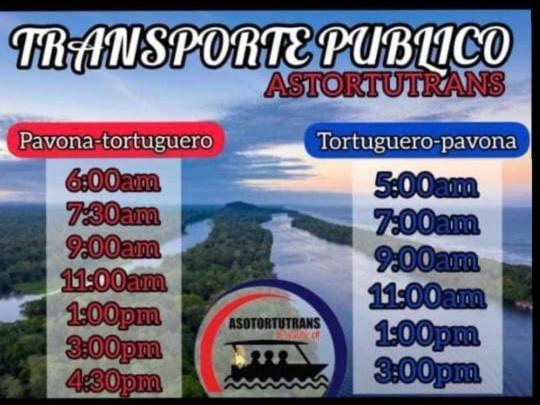 Casa Turtle Bogue Hotel Tortuguero Exterior foto